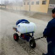 打藥機(jī)噴霧打藥機(jī)型號(hào) 手推噴霧器規(guī)格 噴霧機(jī) 背負(fù)式噴桿噴霧機(jī)