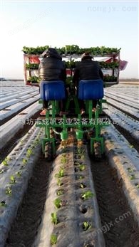 兩行牽引式蔬菜移栽機(jī)