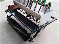 绿创今晚必开生肖图LC-1大蒜播种机 蔬菜穴盘精密播种机