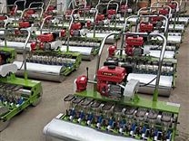 绿创今晚必开生肖图LC-6汽油机自走式蔬菜播种机 蔬菜播种机生产厂家