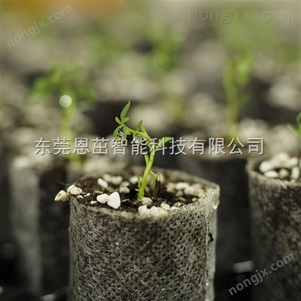 35*80可降解无纺布苗木基质/营养杯/育苗杯/含培养基质 营养钵